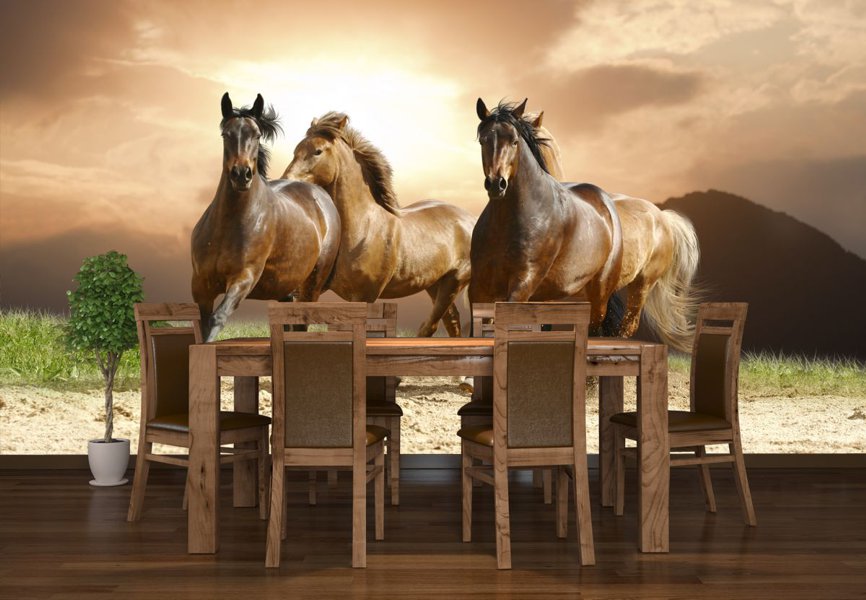 obraz konie w galopie