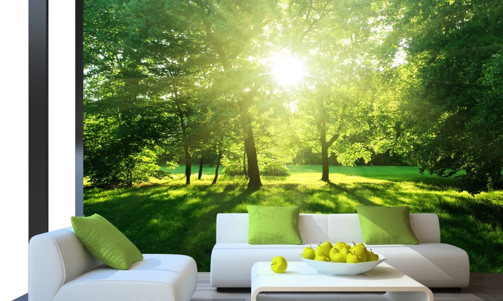 fototapeta-lato-w-lesie